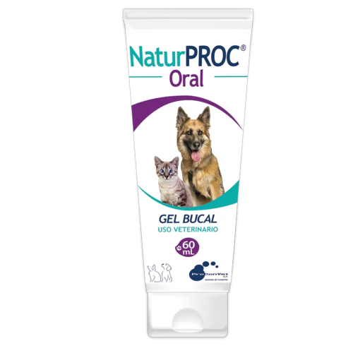 Gel-oral, comida-para-gatos.com