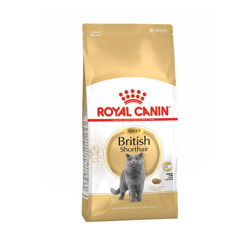 Royal-Canin-British-Shorthair, comida-para-gatos.com