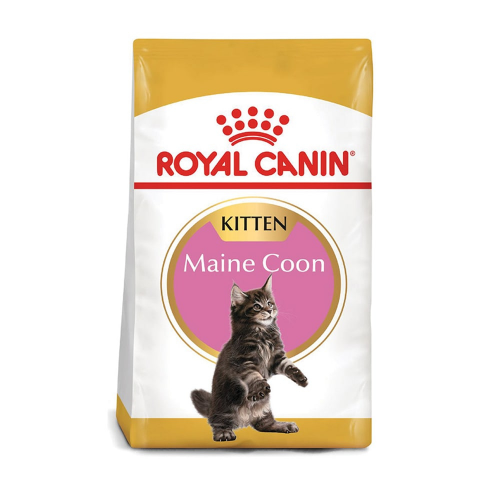 Royal-Canin-Feline-BN-Maine-Coon-Kitten, comida-para-gatos.com