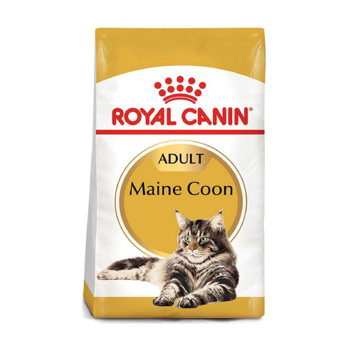 Royal-canin-feline-BN-maine-Coon, comida-para-gatos.com