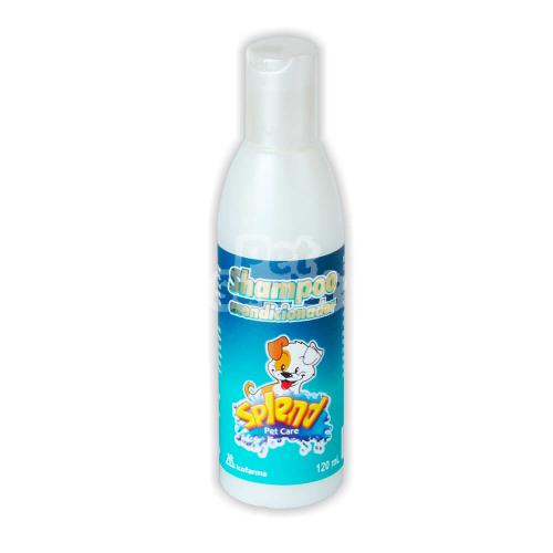 Shampoo Acondicionador 120ml Splend, comida-para-gatos.com