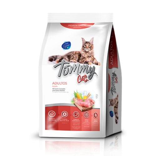 Tommy-Adultos, comida-para-gatos.com