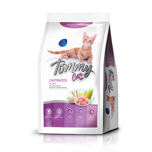 Tommy-castrado, comida-para-gatos.com