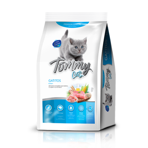 Tommy-gatitos, comida-para-gatos.com