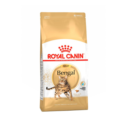 royal-canin-bengal, comimda-para-gatos.com