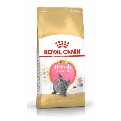 royal-kitten, comida-para-gatos.com
