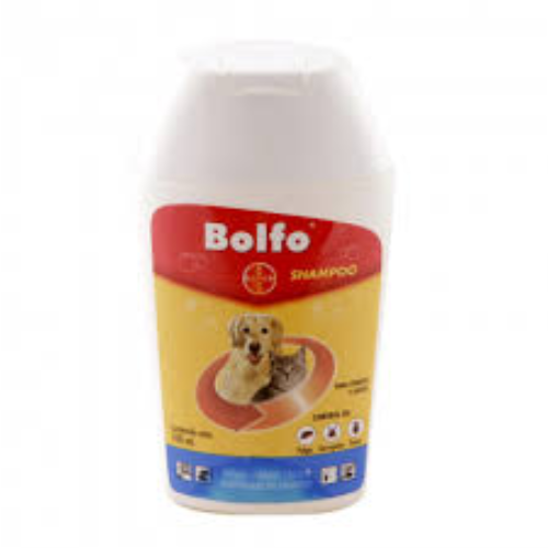 Bolfo Shampoo 100 ML, comida-para-gatos.com