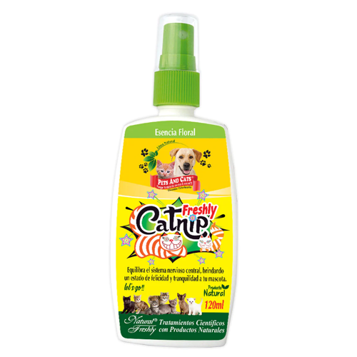 Catnip, comida-para-gatos.com