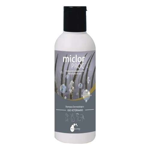 Shampoo, comida-para-gatos.com